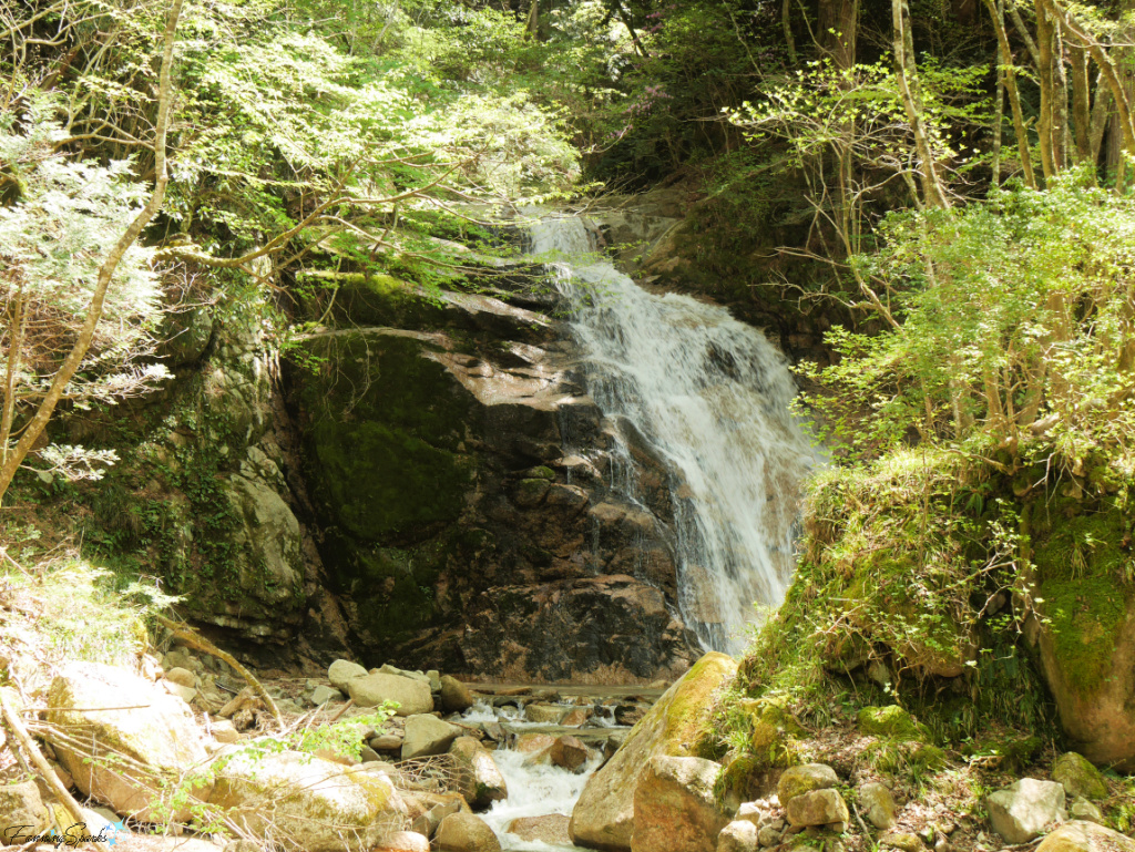 Odaki (Male) Waterfall Along Nakasendo Trail in Japan   @FanningSparks