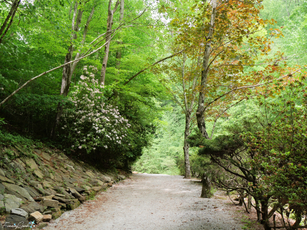 Path Leading to Toccoa Falls in Georgia   @FanningSparks