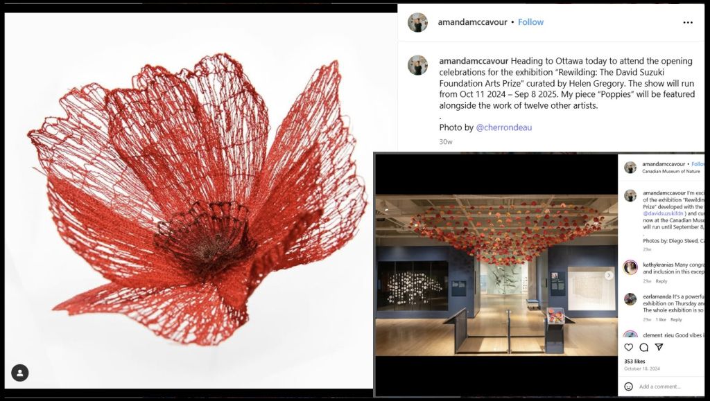 Poppies by Amanda McCavour – from Instagram