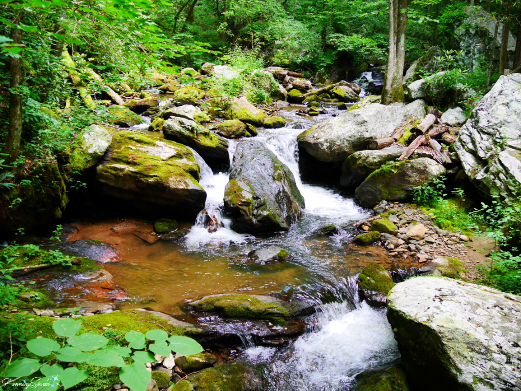 Stream Below Anna Ruby Falls in Georgia   @FanningSparks
