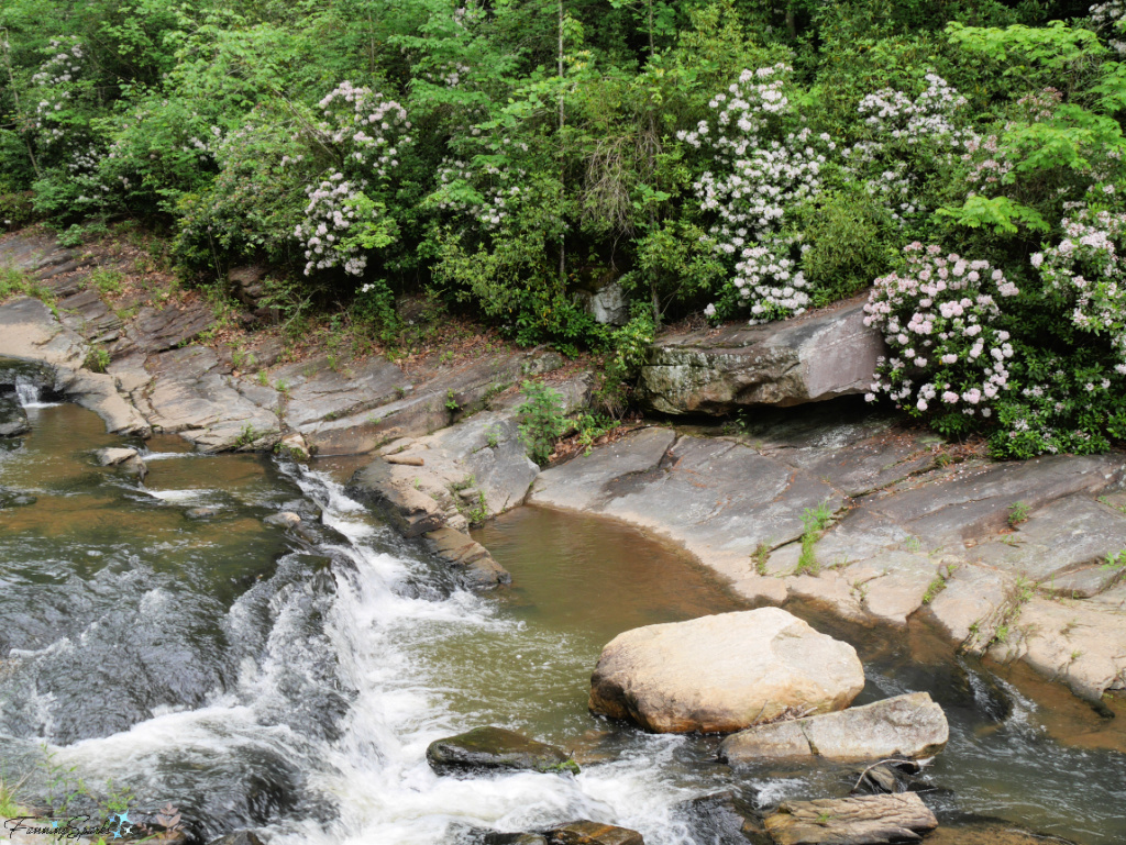Toccoa Creek Along Path Leading to Toccoa Falls in Georgia   @FanningSparks