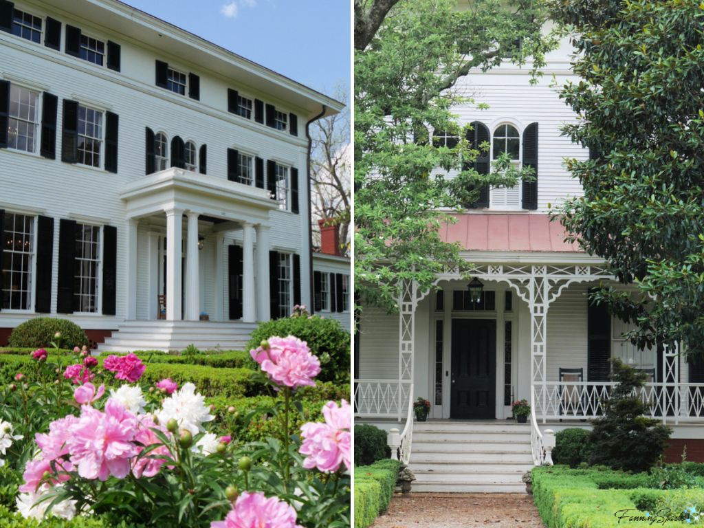 Boxwood Two Facades in Madison Georgia   @FanningSparks