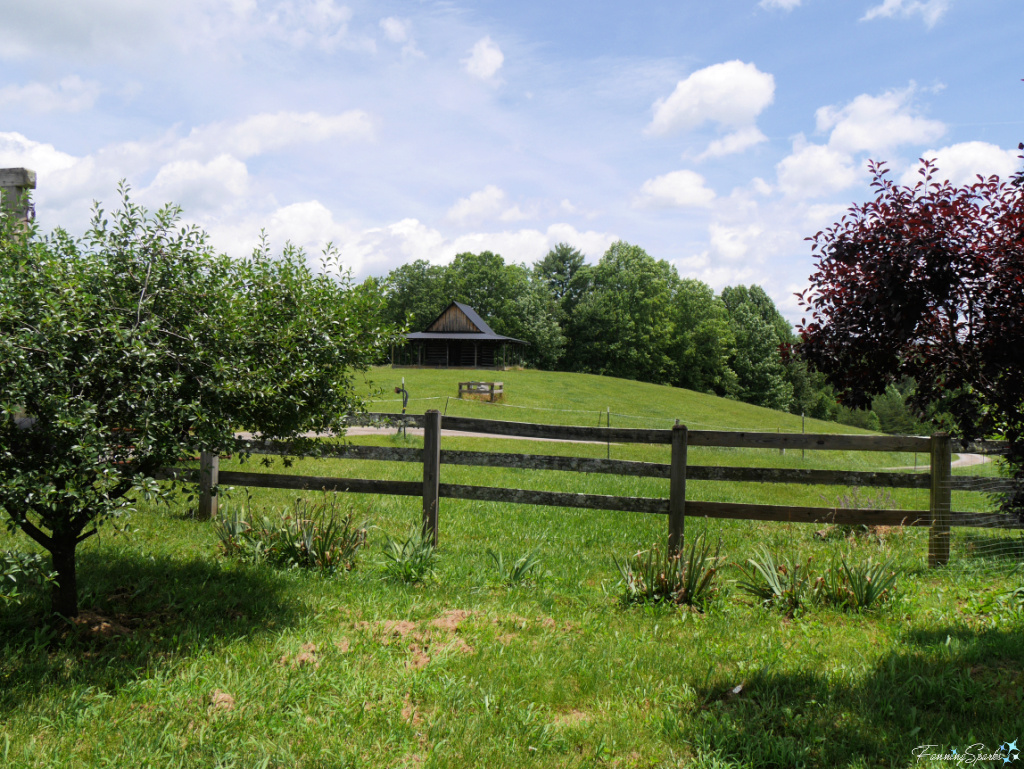 Fields in the Mountain in Tiger Georgia   @FanningSparks