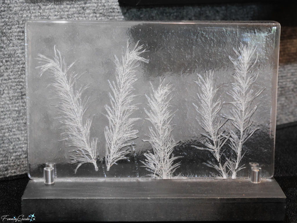 Fossil Vitra with Rosemary Sprigs by Transformation Glass in Tiger   @FanningSparks