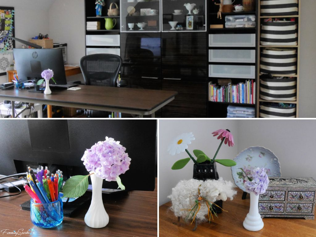 Hydrangeas in Vases in Our Studio   @FanningSparks