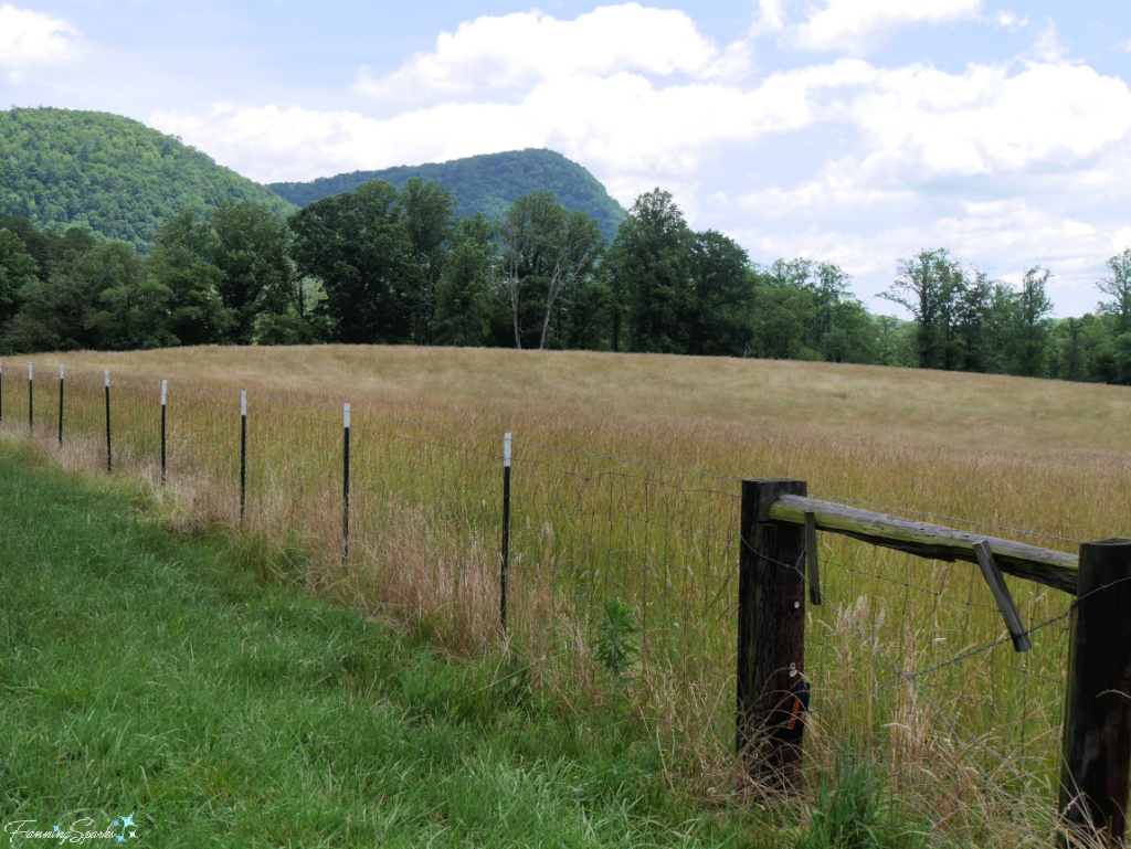 Mountain View from Bridge Creek Road in Tiger Georgia   @FanningSparks