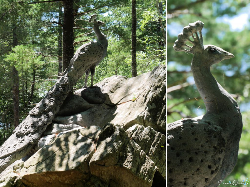 Peacock Sculpture by Ivan Higgins in Sculpture Garden Liverpool NS   @FanningSparks