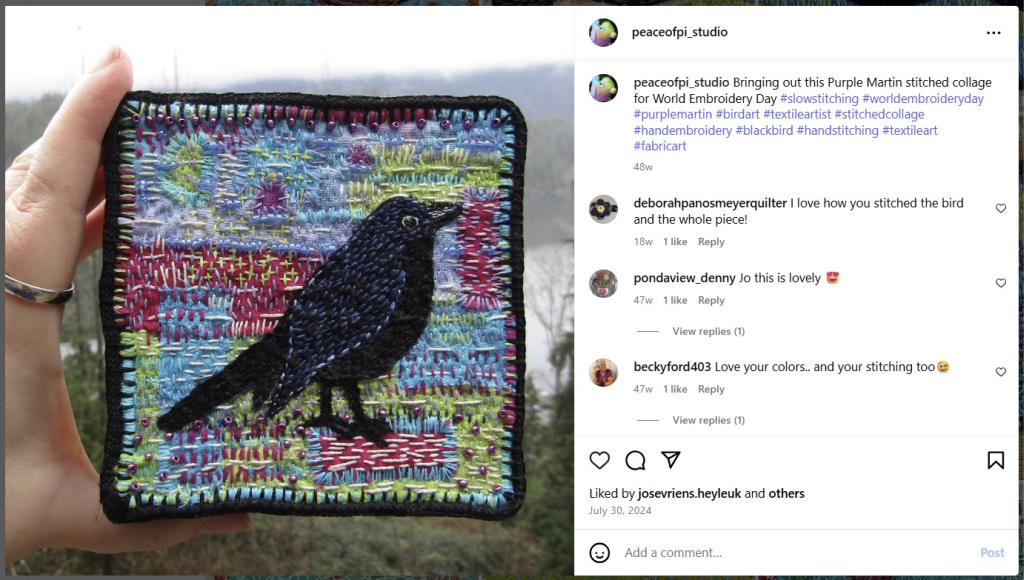 Purple Martin by Peace of Pi from Instagram   