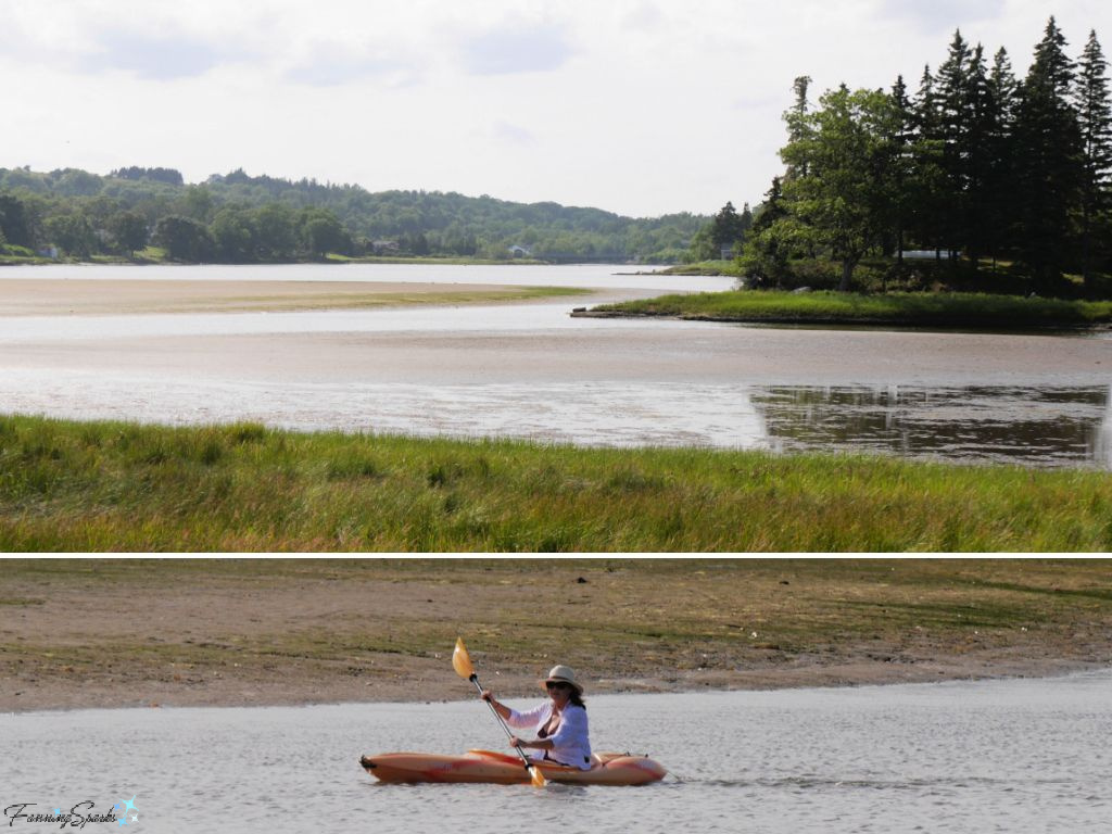 Along Salt Marsh Trail in Rissers Beach Provincial Park in Petite Riviere NS   @FanningSparks