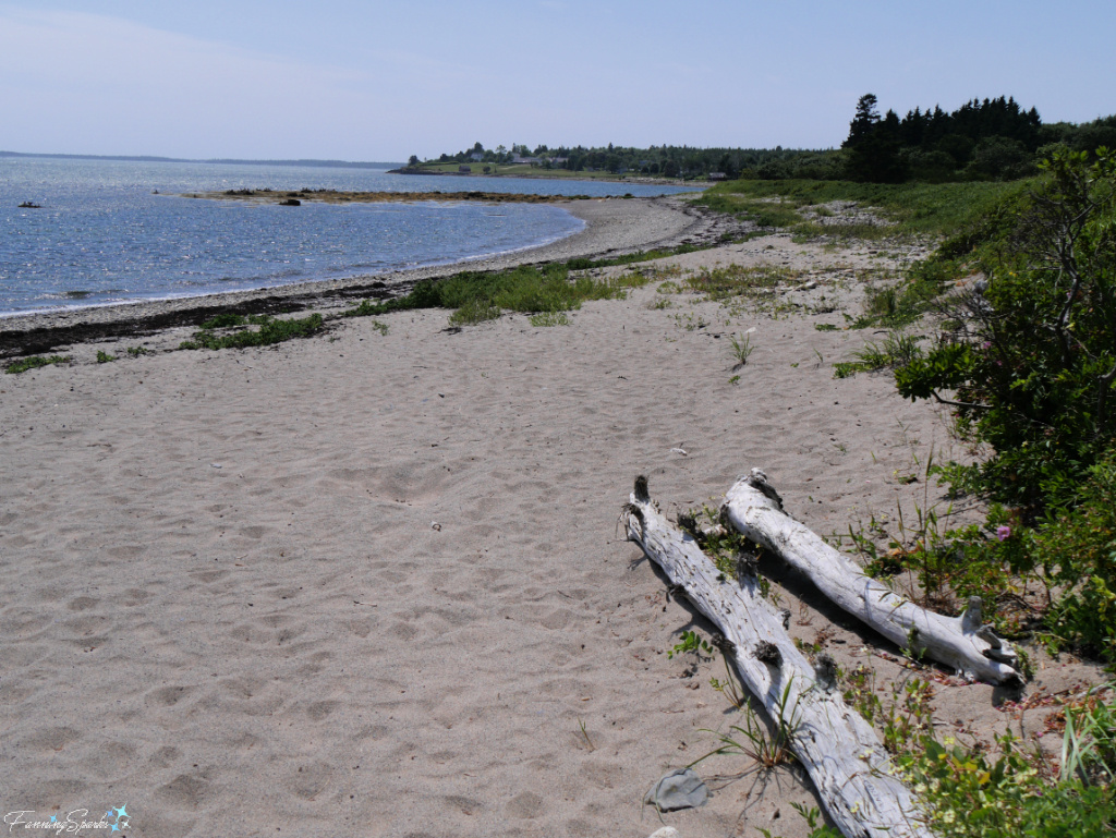 Beach with Driftwood on LaHave River Nova Scotia   @FanningSparks