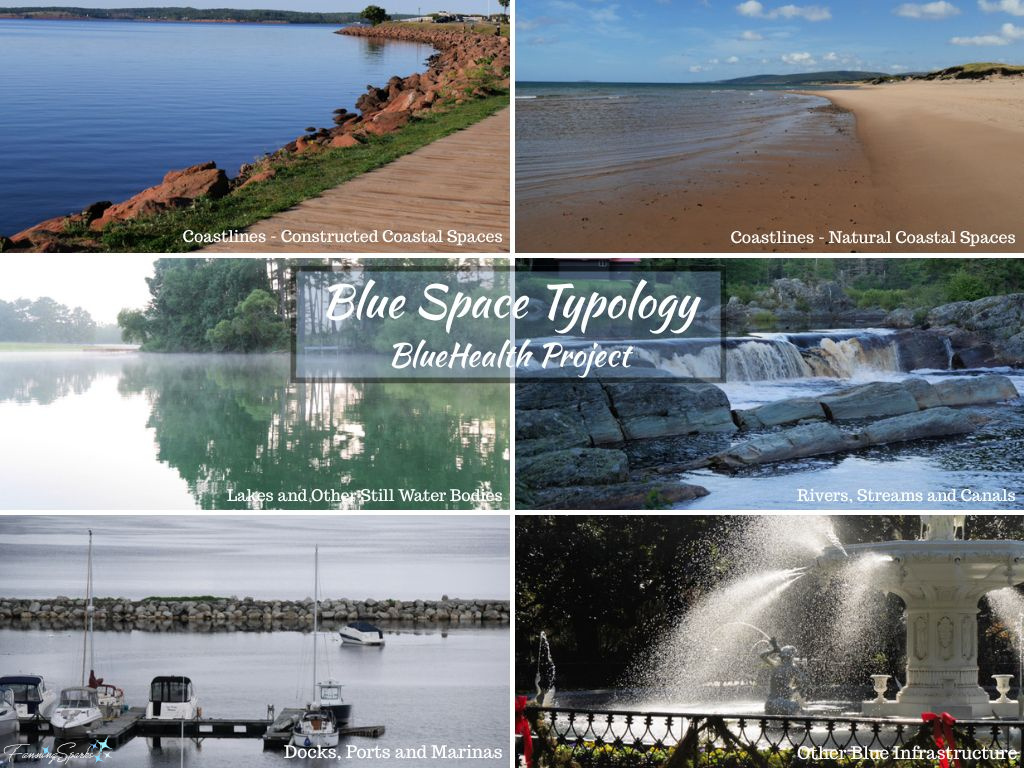 BlueHealth Project Blue Space Typology   @FanningSparks