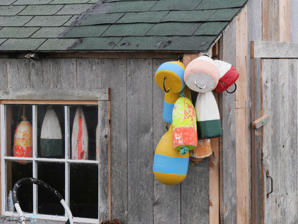 Cluster of Buoys on Shed in Blue Rocks Nova Scotia @FanningSparks