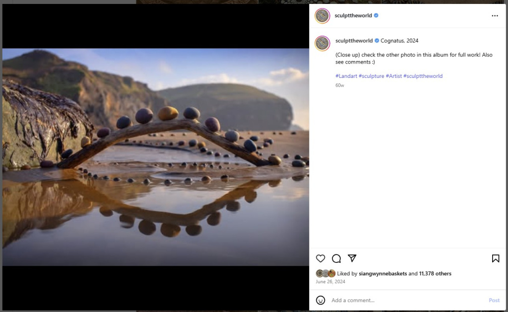 Cognatus by Sculpt the World - from Instagram