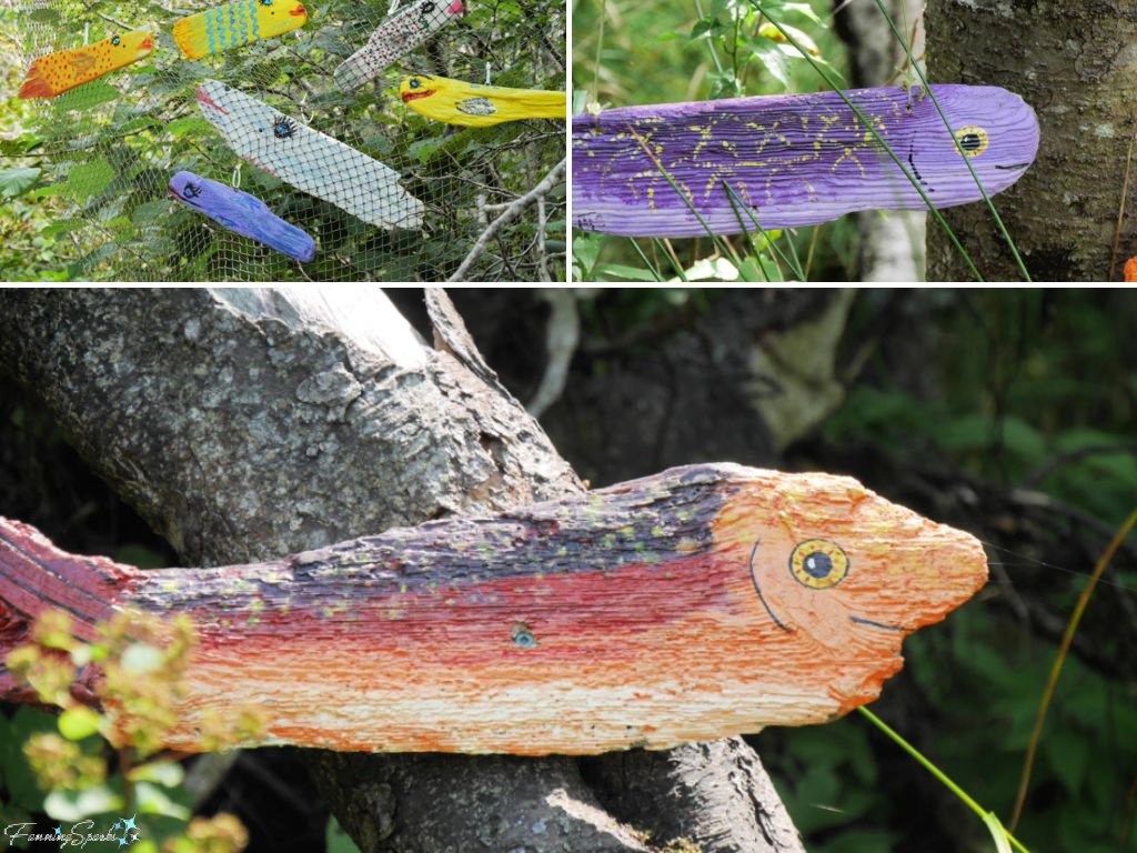 Driftwood Fish Surprise Along Bear Cove Road NS   @FanningSparks