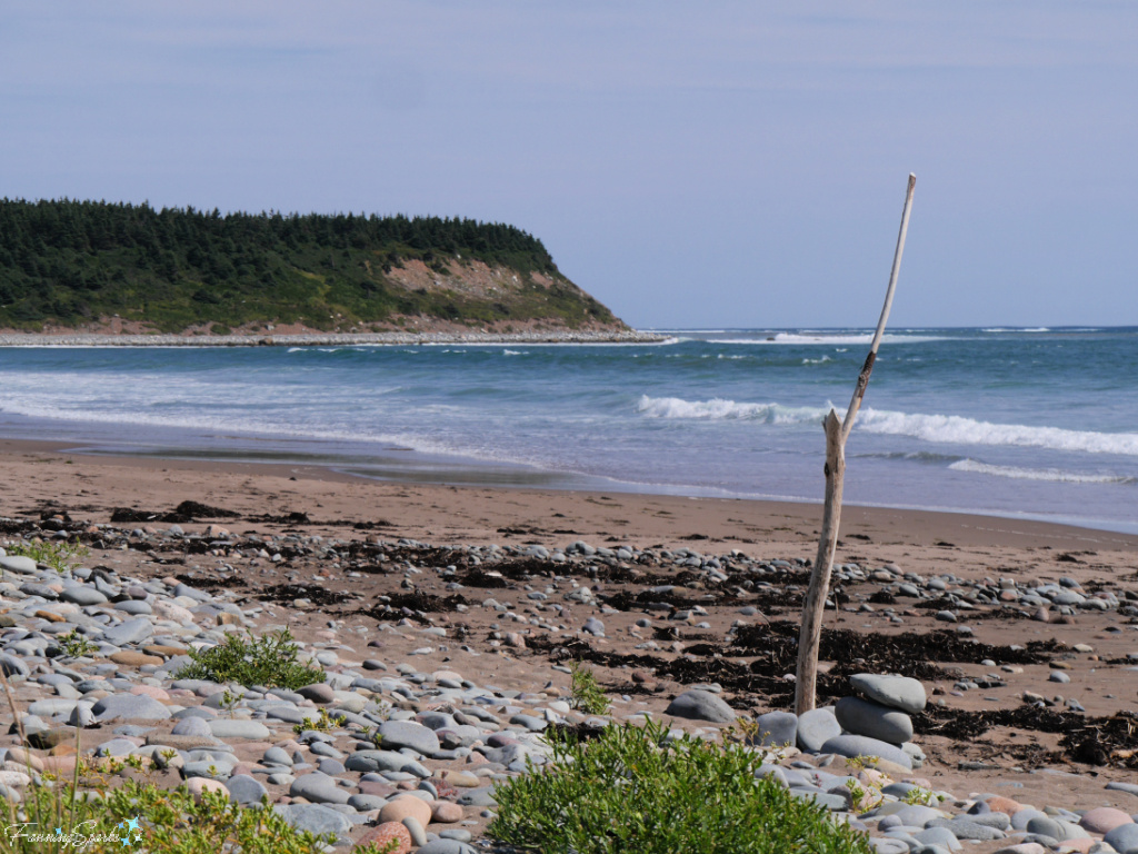 Erected Driftwood Trunk at Lawrencetown Beach Nova Scotia   @FanningSparks