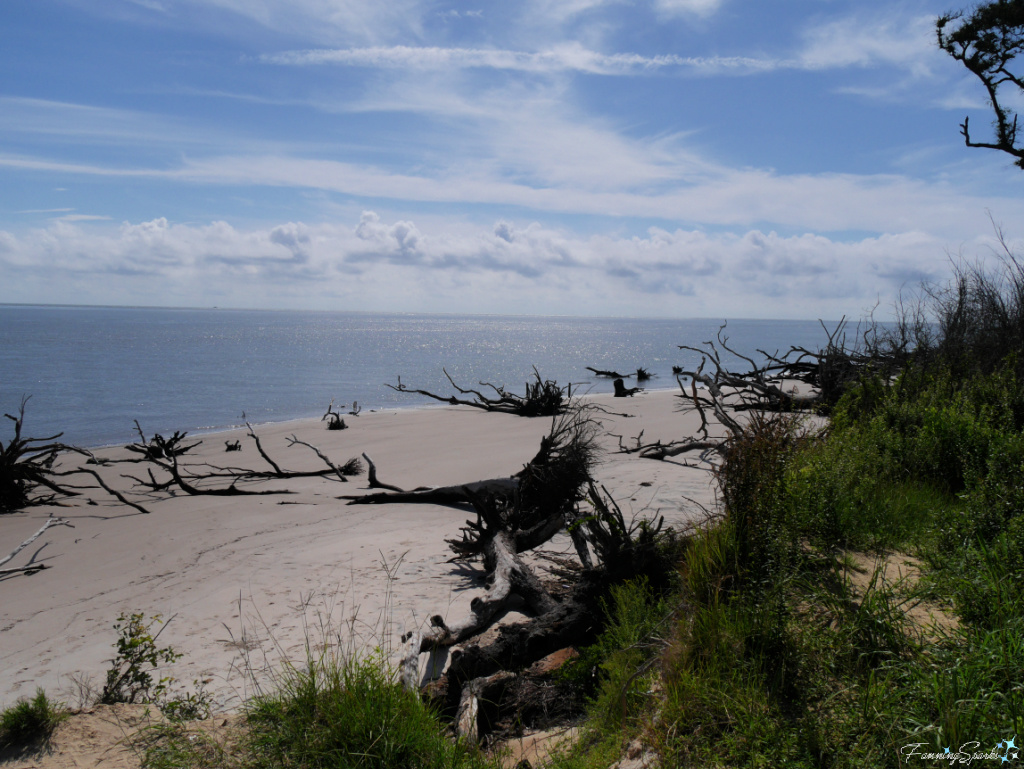 Fallen Trees Cover Boneyard Beach in Florida   @FanningSparks