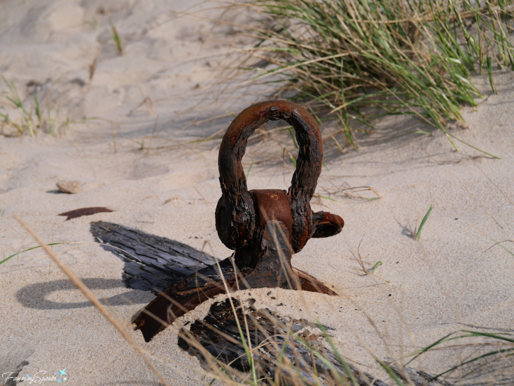 Flotsam in Dunes on Sable Island Nova Scotia   @FanningSparks