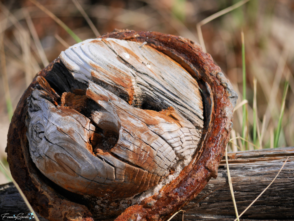 Flotsam on Beach on Sable Island Nova Scotia   @FanningSparks
