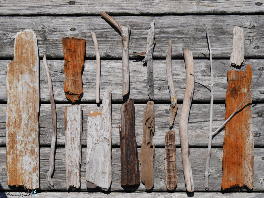 My Collection of Driftwood Pieces   @FanningSparks