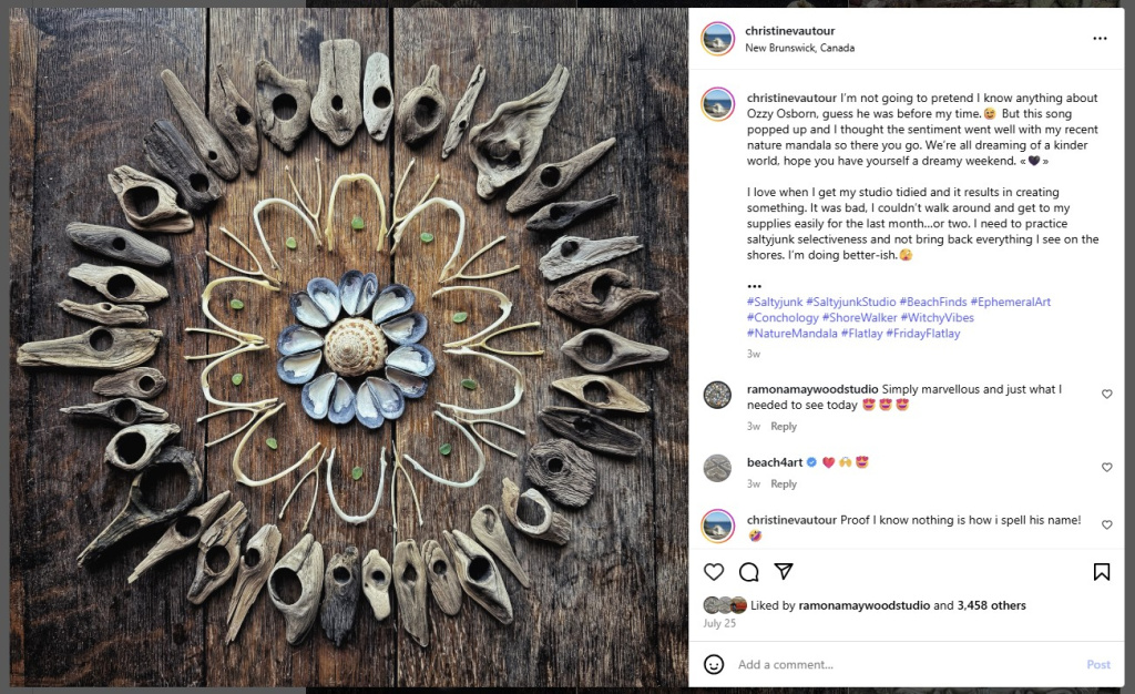 Nature Mandala by Christine Vautour - from Instagram