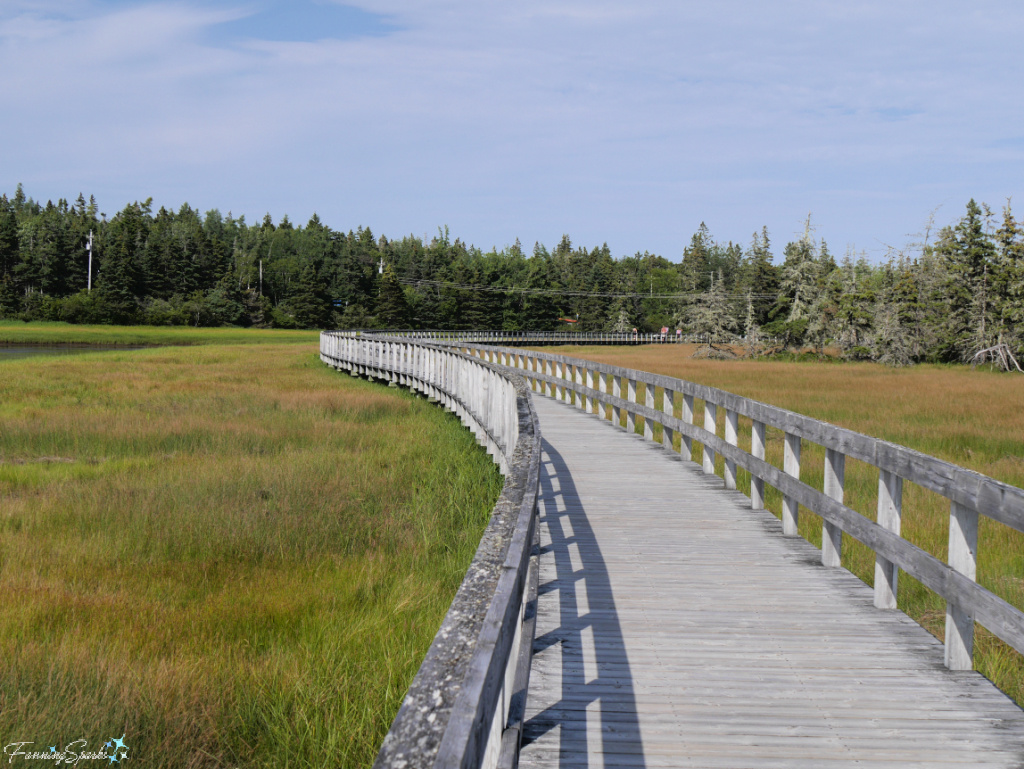 Salt Marsh Trail Boardwalk in Rissers Beach Provincial Park in Petite Riviere NS   @FanningSparks
