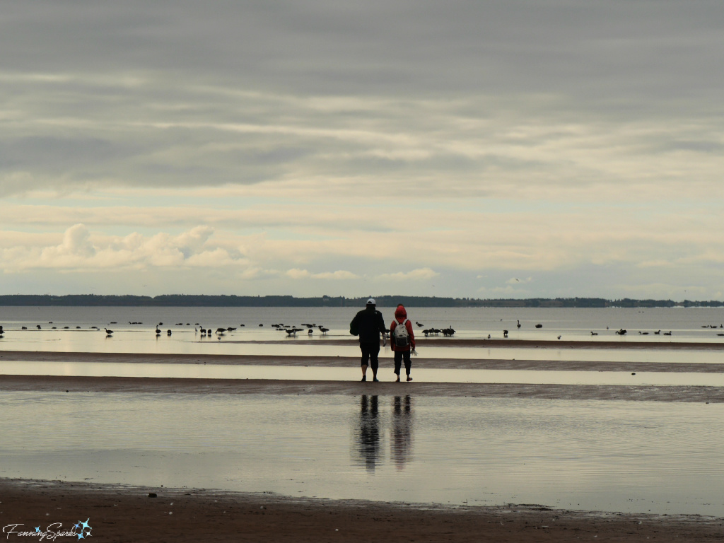 Visitors Walk Along Shore of Hillsborough Bay in Prince Edward Island   @FanningSparks