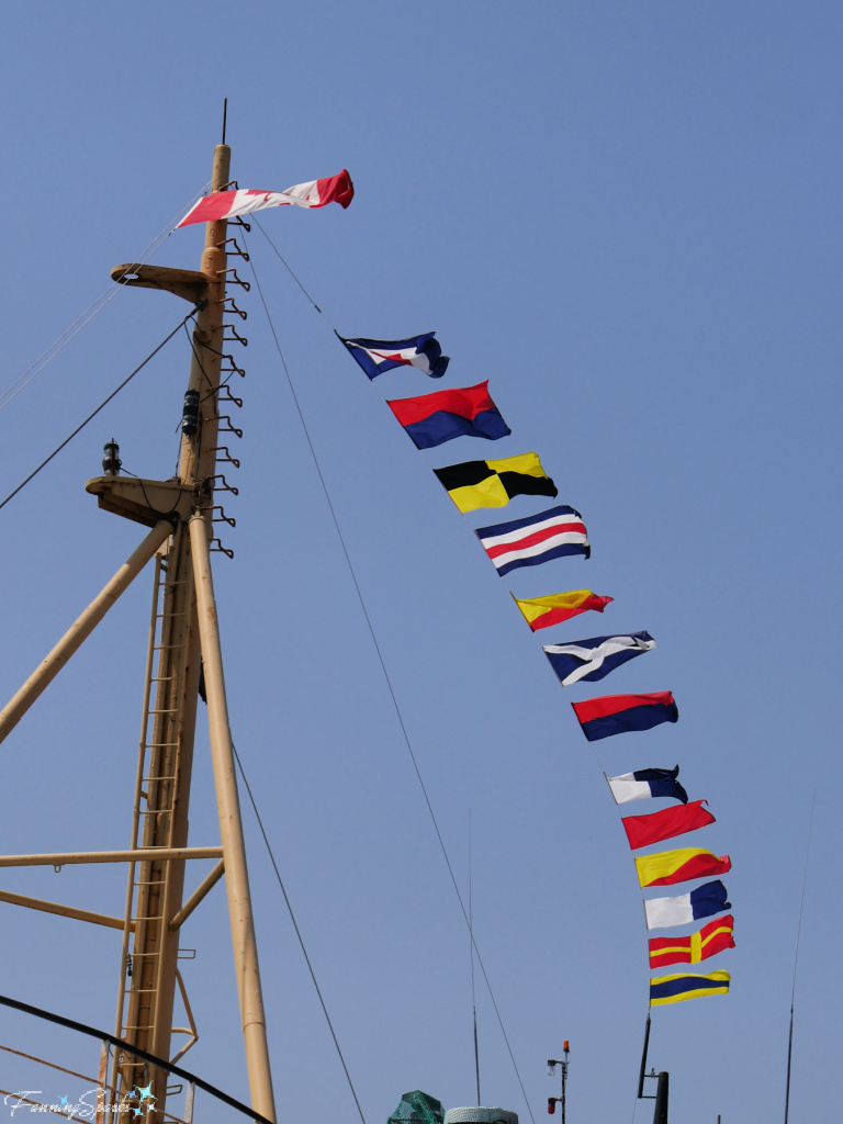 Cape Sable Flag Signal Reads Welcome Aboard   @FanningSparks