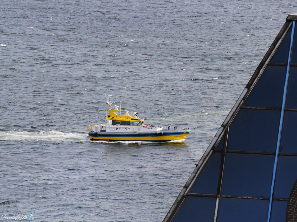 Atlantic Pilot Authority Pilot Boat Zips Over Halifax Harbour NS   @FanningSparks