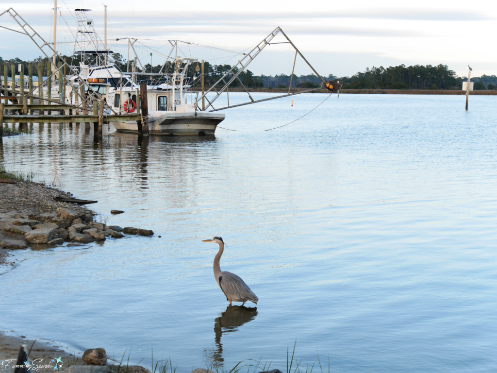 Heron with Shrimp Boats on Bon Secour River Alabama   @FanningSparks