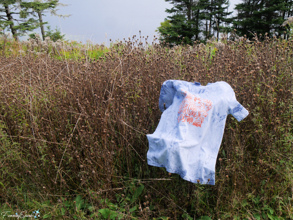 My Custom Screen-Printed T-Shirt at Fog Bank Merch    @FanningSparks