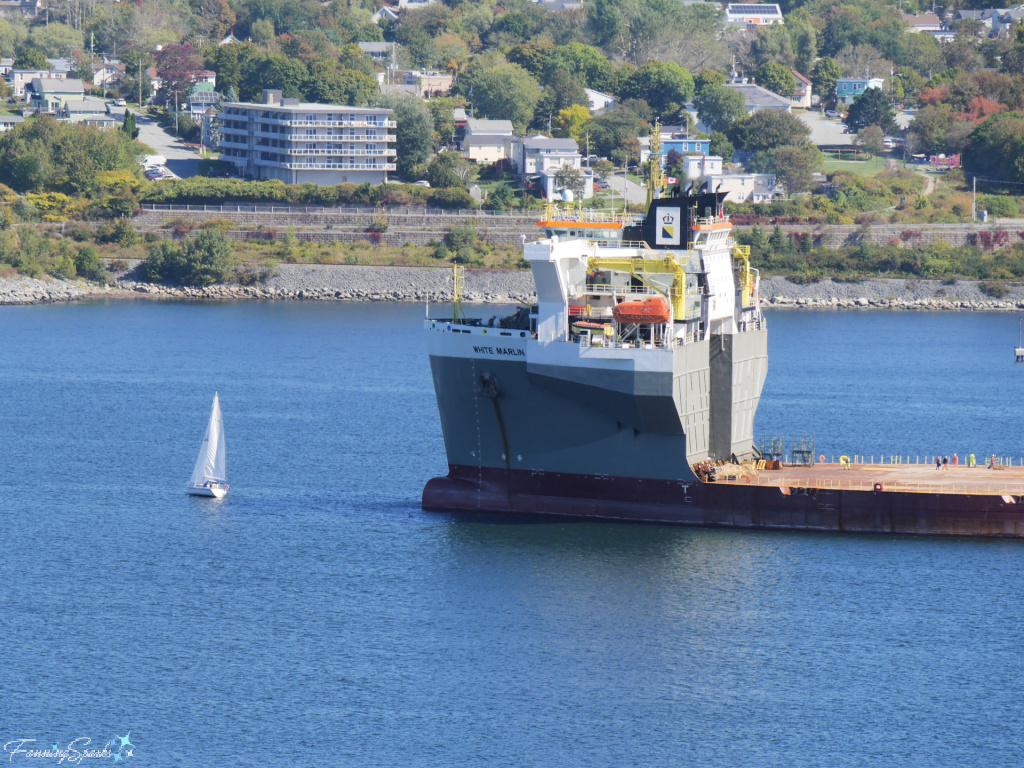 Sailboat Beside White Marlin Heavy Load Carrier on Halifax Harbour NS   @FanningSparks