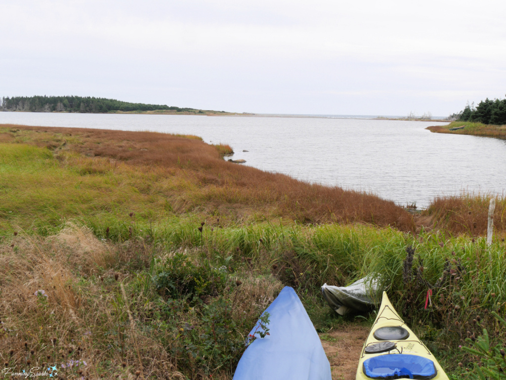 View from Barb Thompson’s Studio in Lower Three Fathom Harbour NS   @FanningSparks