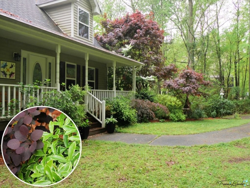 Front of Lake Oconee House with Shrubs   @FanningSparks