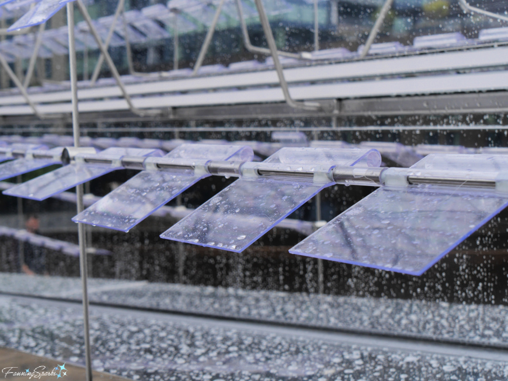 Kinetic Flappers 5 on Tidal Beacon in Halifax Nova Scotia   @FanningSparks