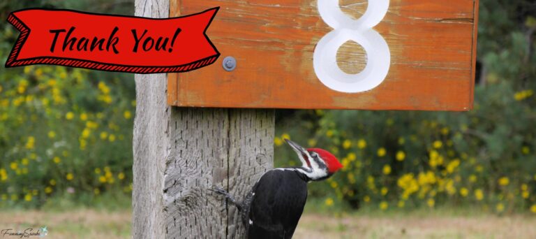 FanningSparks Thanks You for 8 Years @FanningSparks