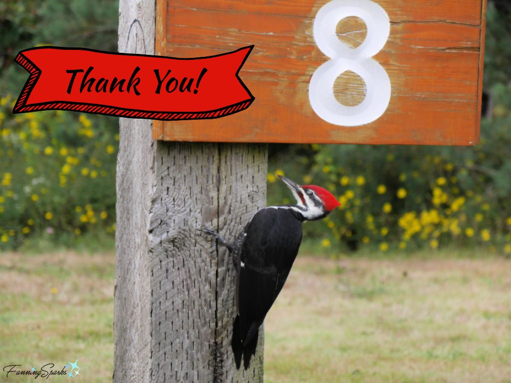 FanningSparks Thanks You for 8 Years   @FanningSparks    