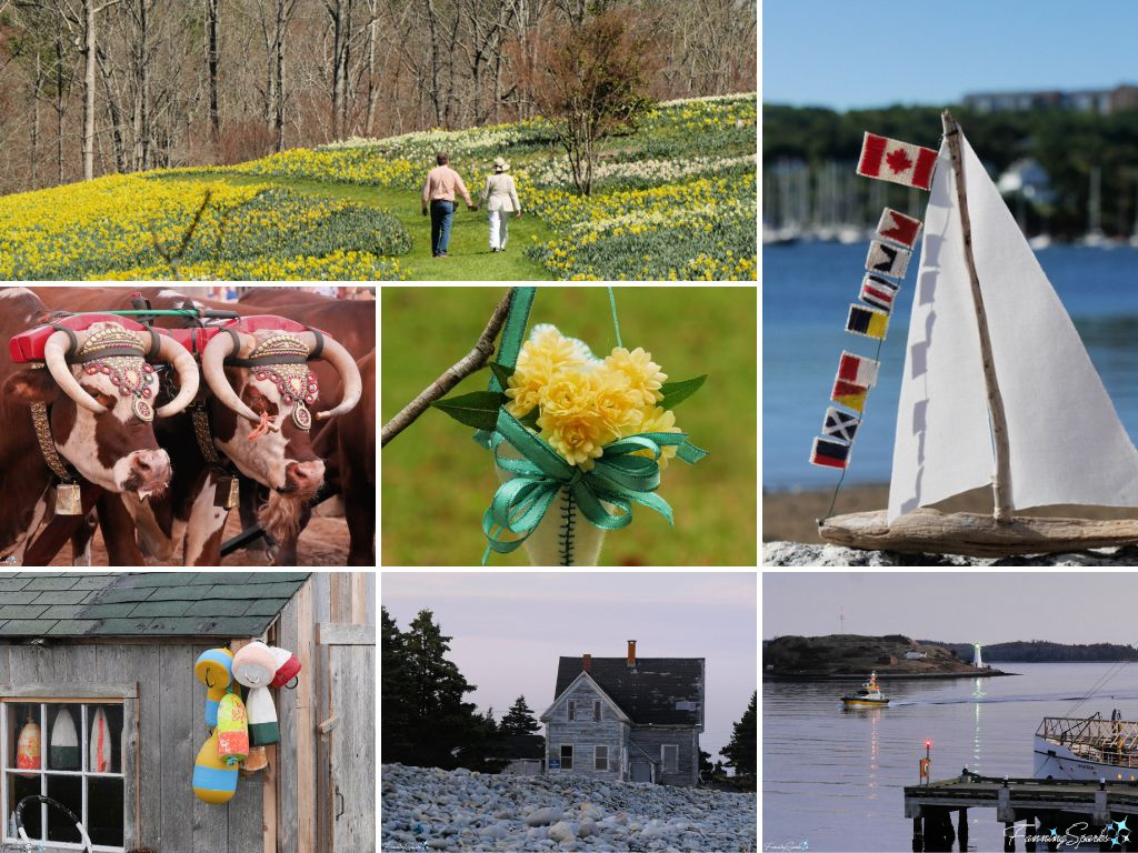 Top 25 Photos from 2025 Shared in Published Posts 1   @FanningSparks    