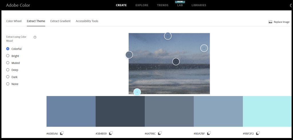 Adobe Color Extract Theme - from Sunrise Trail Raindrop View