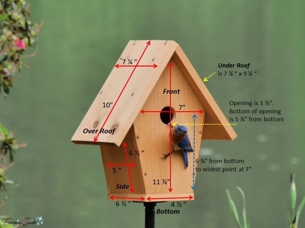 Bluebird Birdhouse Dimensions by FanningSparks   @FanningSparks