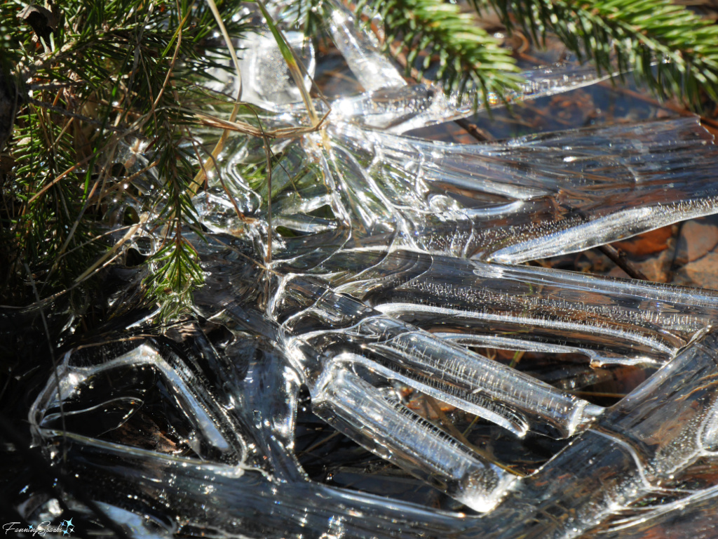 Glittering Star-Like Ice Sheet at Sunrise Trail House   @FanningSparks