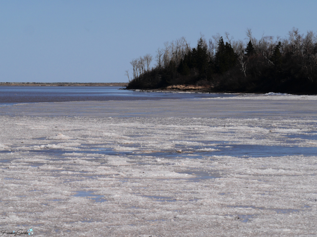 Ice Breaking Up at Sunrise Trail House Harbour to the Right in Mid-March   @FanningSparks