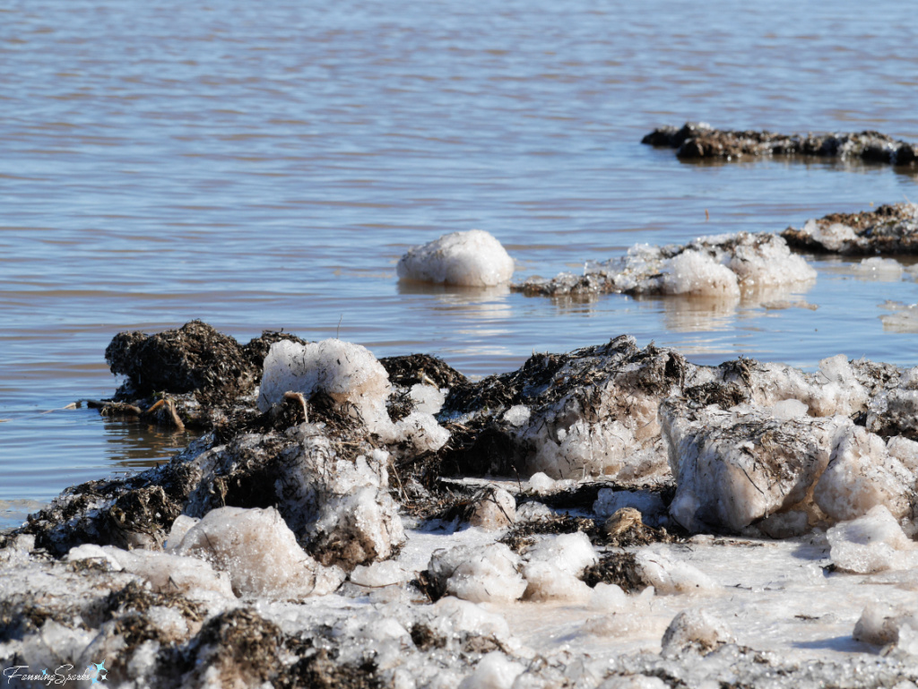 Ice Formations on Shoreline at Sunrise Trail House Harbour   @FanningSparks