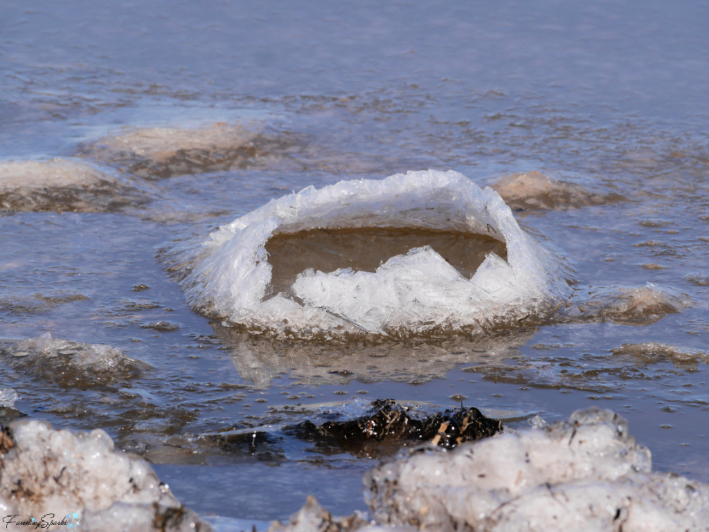 Ice Pancake on Shoreline at Sunrise Trail House Harbour   @FanningSparks