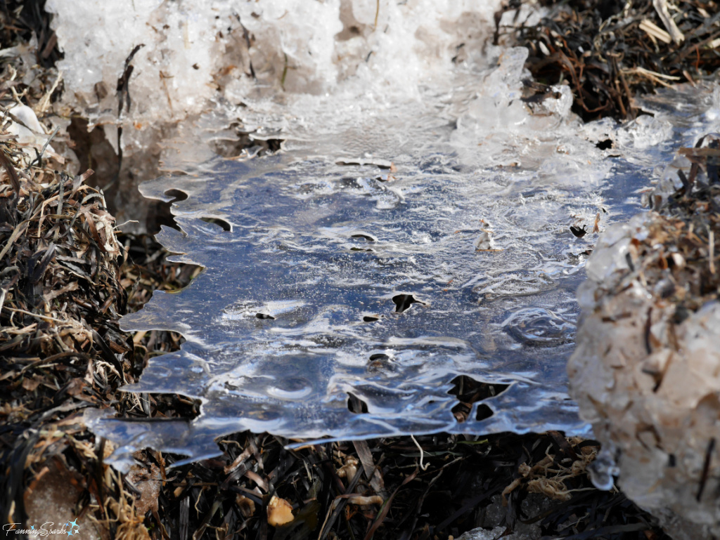 Ice Sheet Between Seawood at Sunrise Trail House Shoreline   @FanningSparks