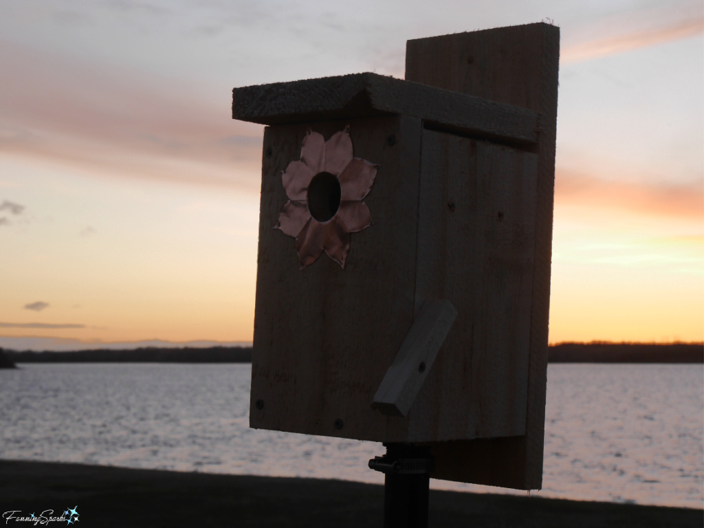 My New Tree Swallow Nest Box at Sunset at Sunrise Trail House   @FanningSparks