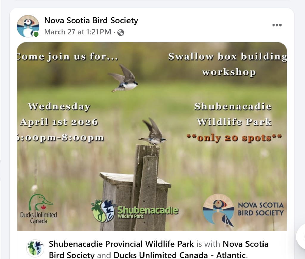 NS Bird Society Workshop Announcement - from Facebook