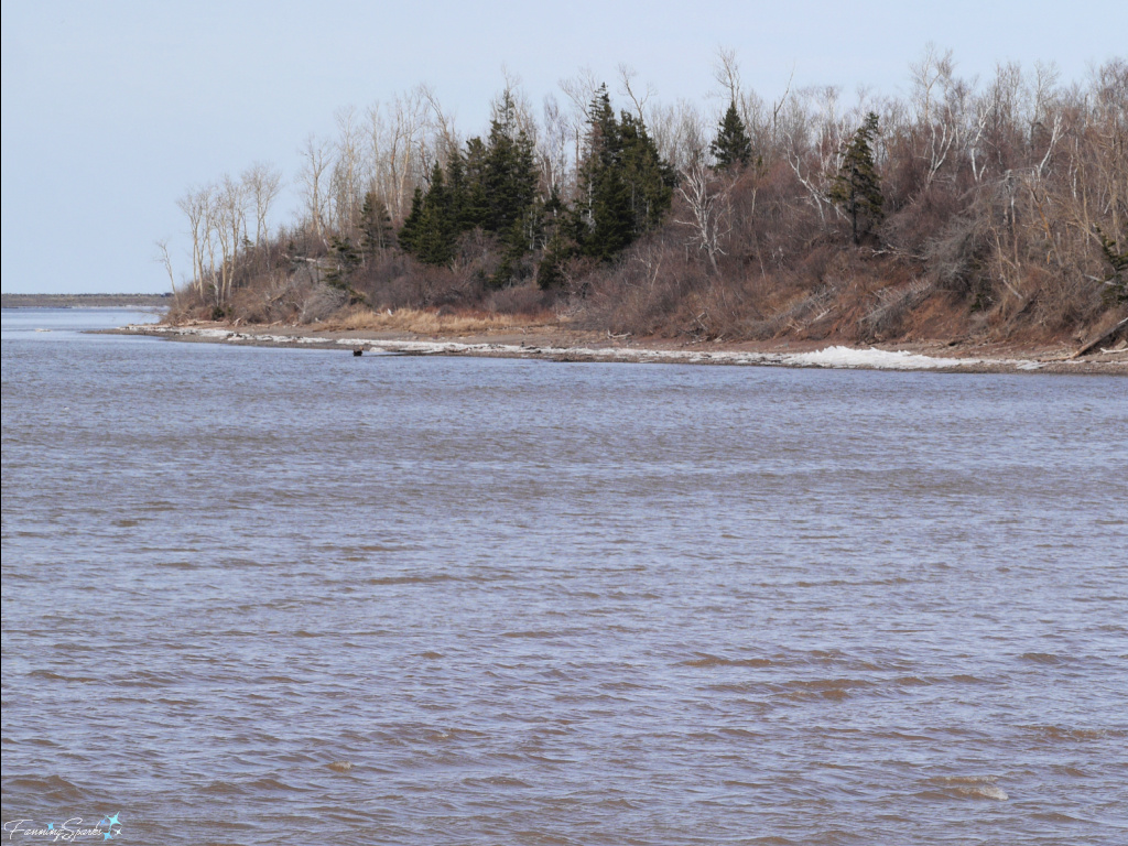 Open Water at Sunrise Trail House Harbour to the Right in Mid-March   @FanningSparks