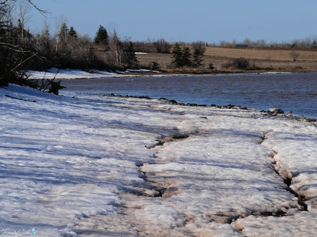 Snow-Covered Shoreline at Sunrise Trail House Harbour   @FanningSparks