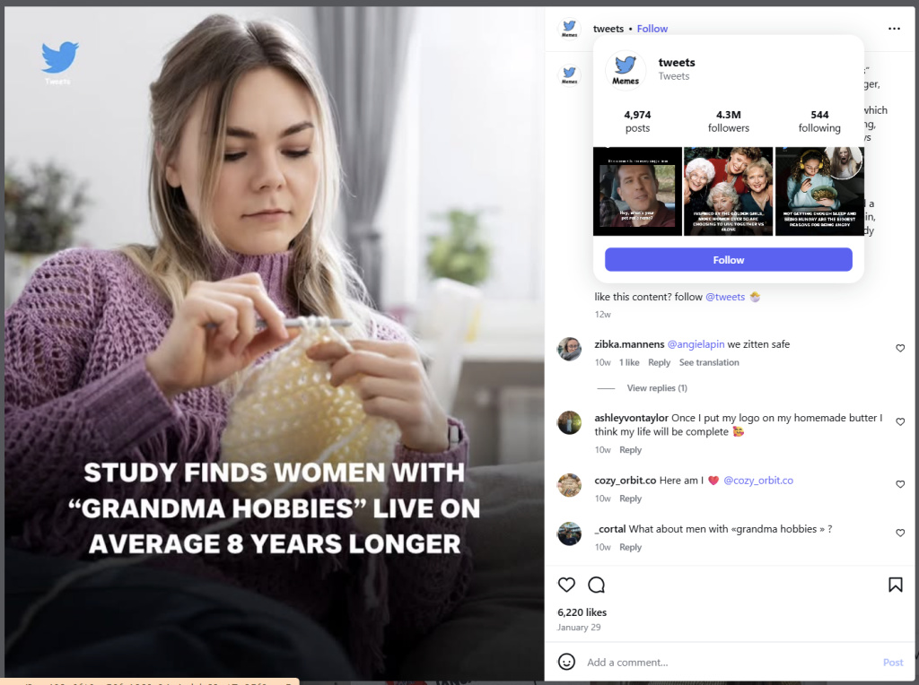 Study Finds Women With Grandma Hobbies – from Instagram