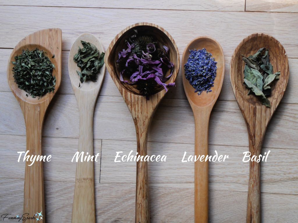 Assortment of Dried Herbs in Wooden Spoons   @FanningSparks